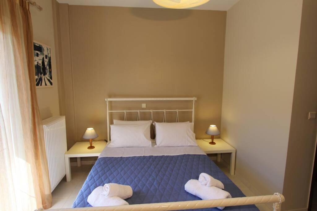 Apartment Cozy In The Heart Of The Town *